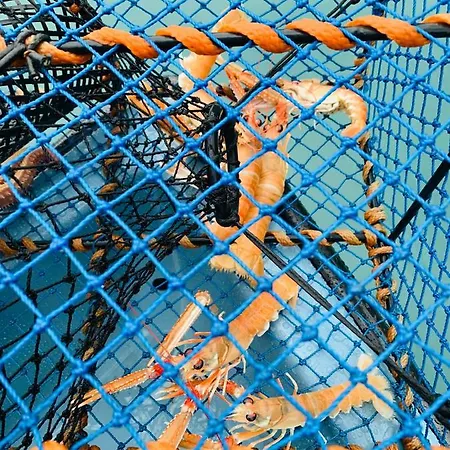 Solvik #apartment #loen Appartement *